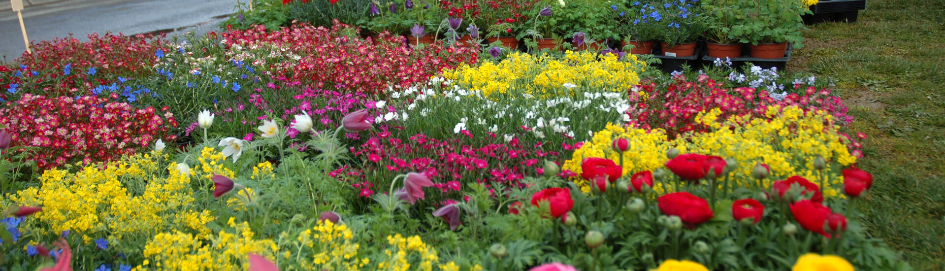 FOIRE AU JARDINAGE DE PAVIE GERS