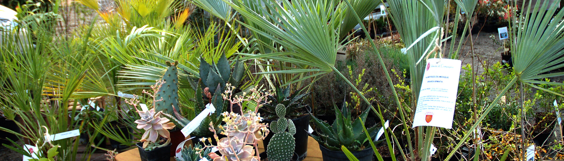 FOIRE AU JARDINAGE DE PAVIE GERS