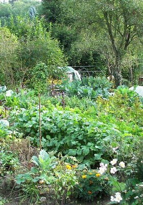 Horticulture-Pépiniéristes-Maraichers