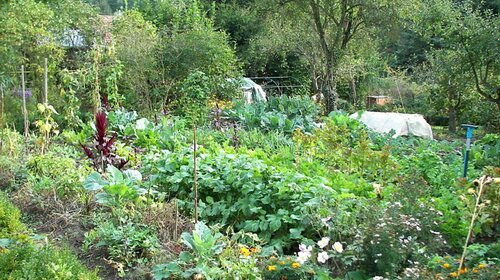 Le Jardin de mon voisin