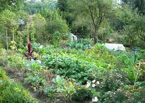 Le Jardin de mon voisin