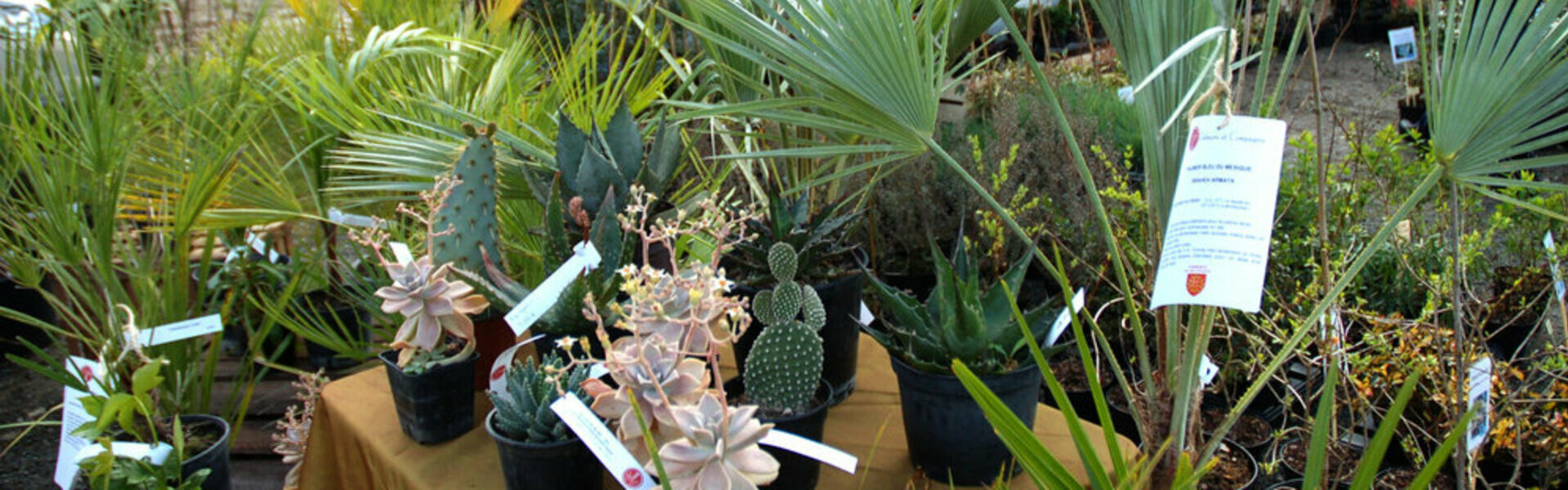 FOIRE AU JARDINAGE DE PAVIE GERS